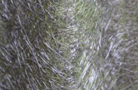 Furzebrook fibreglass roof work